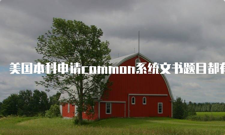 美国本科申请common系统文书题目都有哪些？全面指南-妙务留学网