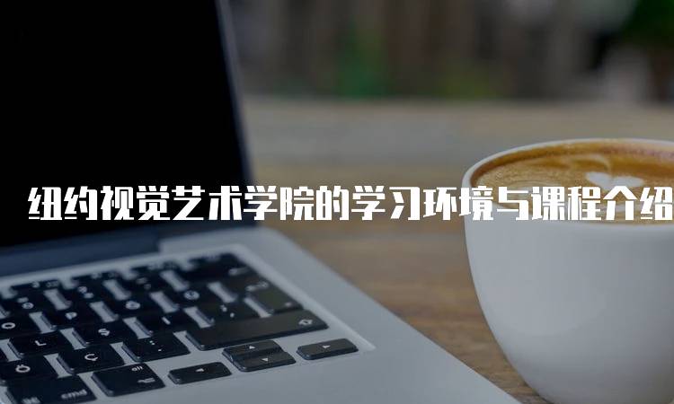 纽约视觉艺术学院的学习环境与课程介绍-妙务留学网