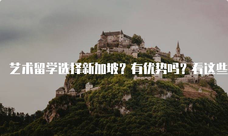 艺术留学选择新加坡？有优势吗？看这些成功案例-妙务留学网